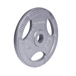 Obciążenie olimpijskie żeliwne inSPORTline Hamerton 15 kg