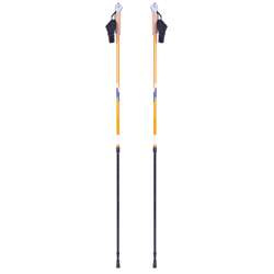 Kijki do chodzenia nordic walking inSPORTline Potosi