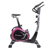 inSPORTline Klegan - 11188 - Rower treningowy magnetyczny