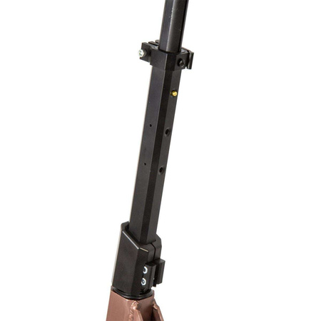 HULAJNOGA PB CARBON 250MM GOLD
