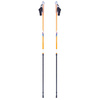 Kijki do chodzenia nordic walking inSPORTline Potosi