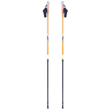 Kijki do chodzenia nordic walking inSPORTline Potosi