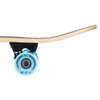 PENNYBOARD WOOD BAHAMAS NILS EXTREME