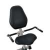 Poziomy rower rehabilitacyjny inSPORTline Rapid RMB